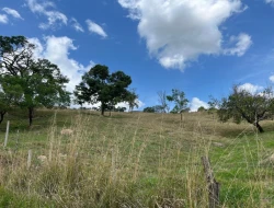 FAZENDA - POVOADO DE  CARNEIROS