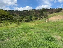 FAZENDA - POVOADO DE  CARNEIROS