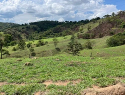 FAZENDA - POVOADO DE  CARNEIROS
