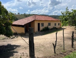 FAZENDA - POVOADO DE  CARNEIROS