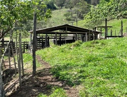 FAZENDA - POVOADO DE  CARNEIROS