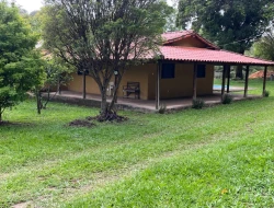 CHÁCARA EM CACHOEIRA DE ALMAS -  FLORESTAL - APENAS 14KM PARÁ DE MINAS.