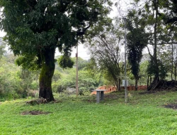 CHÁCARA EM CACHOEIRA DE ALMAS -  FLORESTAL - APENAS 14KM PARÁ DE MINAS.