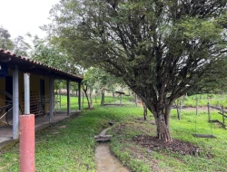 CHÁCARA EM CACHOEIRA DE ALMAS -  FLORESTAL - APENAS 14KM PARÁ DE MINAS.