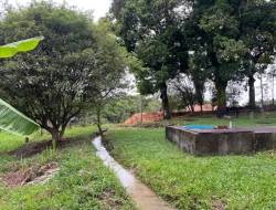 CHÁCARA EM CACHOEIRA DE ALMAS -  FLORESTAL - APENAS 14KM PARÁ DE MINAS.