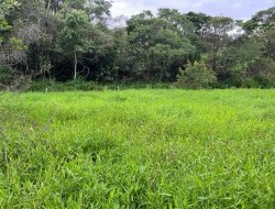 CHÁCARA EM CACHOEIRA DE ALMAS -  FLORESTAL - APENAS 14KM PARÁ DE MINAS.