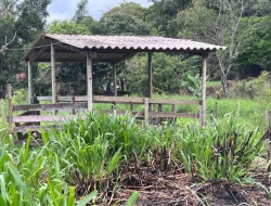 CHÁCARA EM CACHOEIRA DE ALMAS -  FLORESTAL - APENAS 14KM PARÁ DE MINAS.