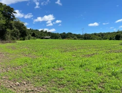 FAZENDA À VENDA - 26 HECTARES  ( ZONA DE EXPANSÃO URBANA ) PARÁ DE MINAS