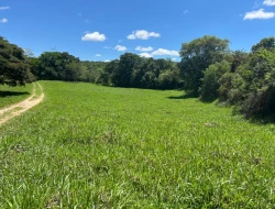 FAZENDA À VENDA - 26 HECTARES  ( ZONA DE EXPANSÃO URBANA ) PARÁ DE MINAS