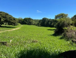 FAZENDA À VENDA - 26 HECTARES  ( ZONA DE EXPANSÃO URBANA ) PARÁ DE MINAS