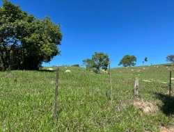 FAZENDA À VENDA - 26 HECTARES  ( ZONA DE EXPANSÃO URBANA ) PARÁ DE MINAS