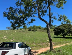 FAZENDA À VENDA - 26 HECTARES  ( ZONA DE EXPANSÃO URBANA ) PARÁ DE MINAS