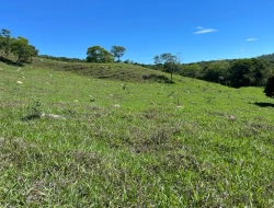FAZENDA À VENDA - 26 HECTARES  ( ZONA DE EXPANSÃO URBANA ) PARÁ DE MINAS