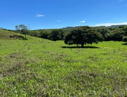 FAZENDA À VENDA - 26 HECTARES  ( ZONA DE EXPANSÃO URBANA ) PARÁ DE MINAS