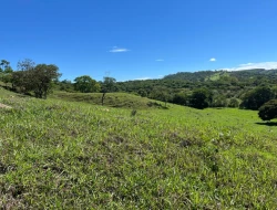 FAZENDA À VENDA - 26 HECTARES  ( ZONA DE EXPANSÃO URBANA ) PARÁ DE MINAS