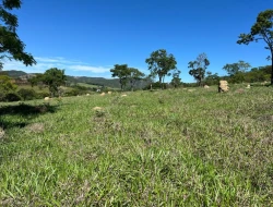 FAZENDA À VENDA - 26 HECTARES  ( ZONA DE EXPANSÃO URBANA ) PARÁ DE MINAS