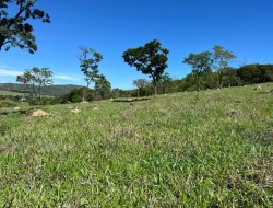 FAZENDA À VENDA - 26 HECTARES  ( ZONA DE EXPANSÃO URBANA ) PARÁ DE MINAS