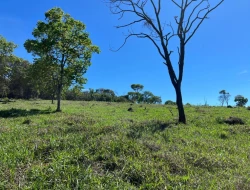 FAZENDA À VENDA - 26 HECTARES  ( ZONA DE EXPANSÃO URBANA ) PARÁ DE MINAS