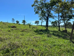 FAZENDA À VENDA - 26 HECTARES  ( ZONA DE EXPANSÃO URBANA ) PARÁ DE MINAS