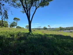 FAZENDA À VENDA - 26 HECTARES  ( ZONA DE EXPANSÃO URBANA ) PARÁ DE MINAS