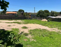 VENDO 03 LOTES – JUNTOS OU SEPARADOS – EM AVENIDA, SÃO JOSÉ DA VARGINHA/MG