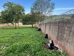CHÁCARA À VENDA- ASCENSÃO-PARÁ DE MINAS-MG