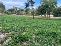 CHÁCARA À VENDA- ASCENSÃO-PARÁ DE MINAS-MG
