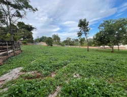 CHÁCARA À VENDA- ASCENSÃO-PARÁ DE MINAS-MG