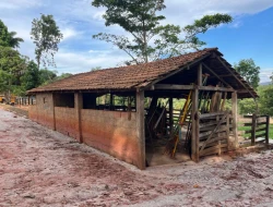 CHÁCARA À VENDA- ASCENSÃO-PARÁ DE MINAS-MG