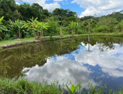 FAZENDA À VENDA – PARÁ DE MINAS/MG