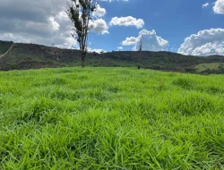 FAZENDA À VENDA – PARÁ DE MINAS/MG