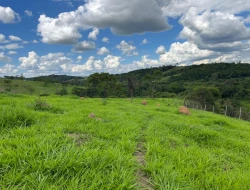 FAZENDA À VENDA – PARÁ DE MINAS/MG