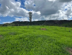 FAZENDA À VENDA – PARÁ DE MINAS/MG