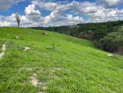FAZENDA À VENDA – PARÁ DE MINAS/MG