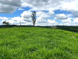 FAZENDA À VENDA – PARÁ DE MINAS/MG