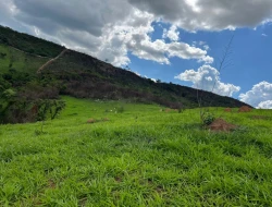 FAZENDA À VENDA – PARÁ DE MINAS/MG