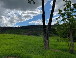 FAZENDA À VENDA – PARÁ DE MINAS/MG