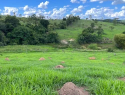 FAZENDA À VENDA – PARÁ DE MINAS/MG