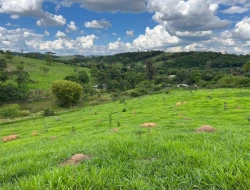 FAZENDA À VENDA – PARÁ DE MINAS/MG