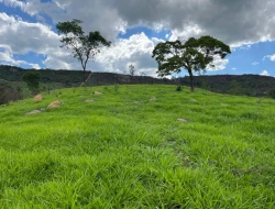 FAZENDA À VENDA – PARÁ DE MINAS/MG