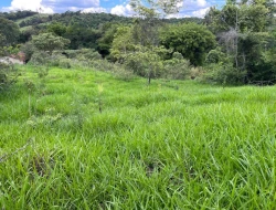 FAZENDA À VENDA – PARÁ DE MINAS/MG