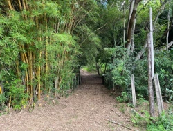 FAZENDA À VENDA – PARÁ DE MINAS/MG