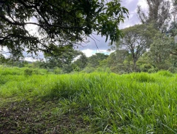 FAZENDA À VENDA – PARÁ DE MINAS/MG