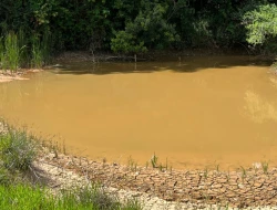 FAZENDA À VENDA – PARÁ DE MINAS/MG