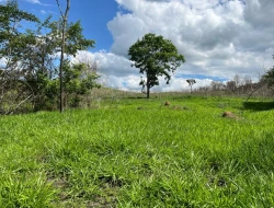 FAZENDA À VENDA – PARÁ DE MINAS/MG
