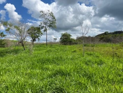 FAZENDA À VENDA – PARÁ DE MINAS/MG
