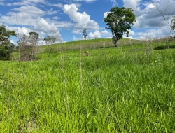 FAZENDA À VENDA – PARÁ DE MINAS/MG