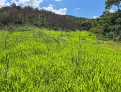 FAZENDA À VENDA – PARÁ DE MINAS/MG