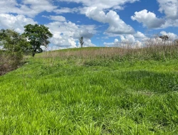 FAZENDA À VENDA – PARÁ DE MINAS/MG