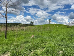 FAZENDA À VENDA – PARÁ DE MINAS/MG
